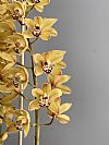 Κίτρινη Cymbidium Ορχιδέα σε ρατάν καλάθι-Out of Stock