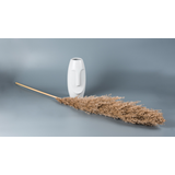 Pampas Σε Φυσικό Χρώμα Ύψους 70 cm