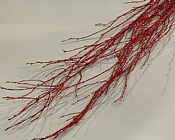 Birk, κόκκινα κλαδιά διακοσμητικά, 1.20μ