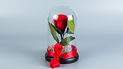 Forever Rose Κόκκινο Σε Γυάλινη Καμπάνα 20 cm