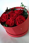 Red Roses - Καπελιέρα με 5 τριαντάφυλλα Ecuador 