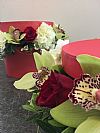 Orchids in a Box - Kαπελιέρα με τριαντάφυλλα, ορχιδέες και cymbidium